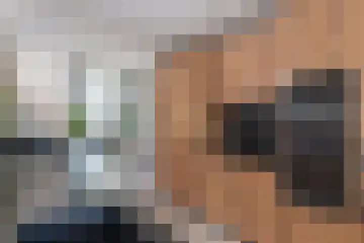 Dijk 9 Broek op Langedijk thumbnail 27