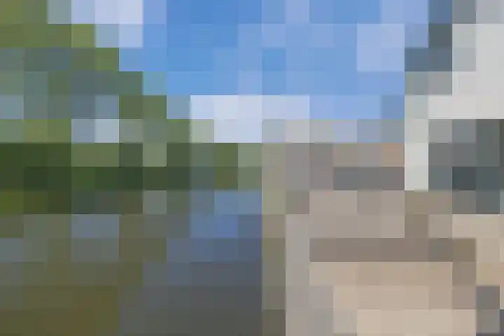 Dijk 9 Broek op Langedijk thumbnail 30