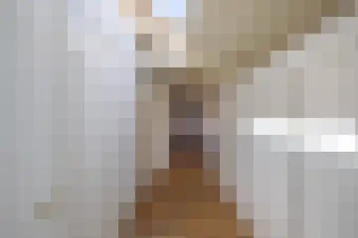 Dijk 9 Broek op Langedijk thumbnail 40