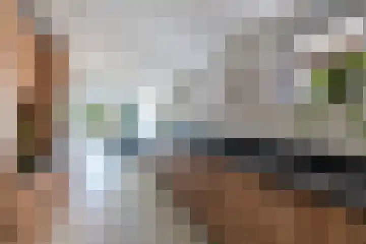 Dijk 9 Broek op Langedijk thumbnail 5