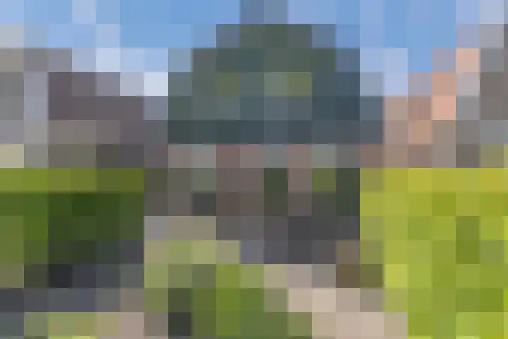 Dijk 9 Broek op Langedijk thumbnail 8