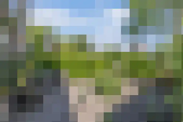 Dijk 9 Broek op Langedijk thumbnail 9