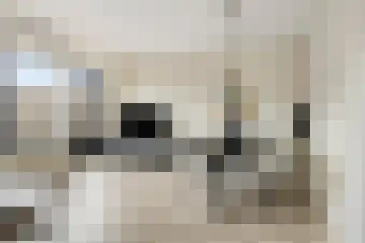 Dijkcentrum 89 Roosendaal thumbnail 11