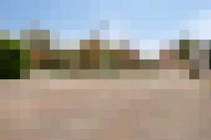 Dijkcentrum 89 Roosendaal thumbnail 33