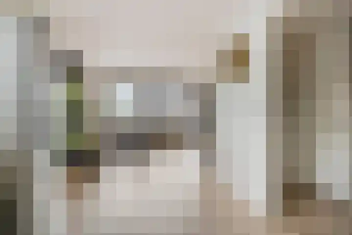 Dijkcentrum 89 Roosendaal thumbnail 9