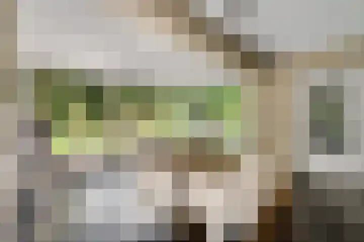 Dijkerhof 21 Weert thumbnail 10