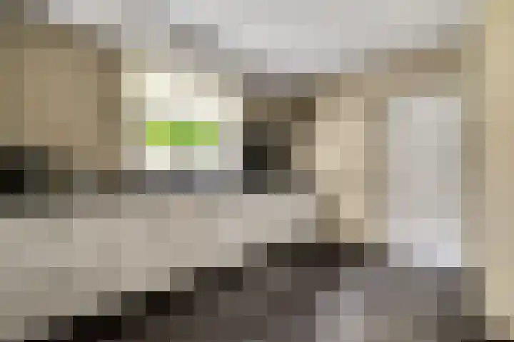 Dijkerhof 21 Weert thumbnail 13