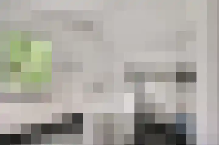 Dijkerhof 21 Weert thumbnail 17