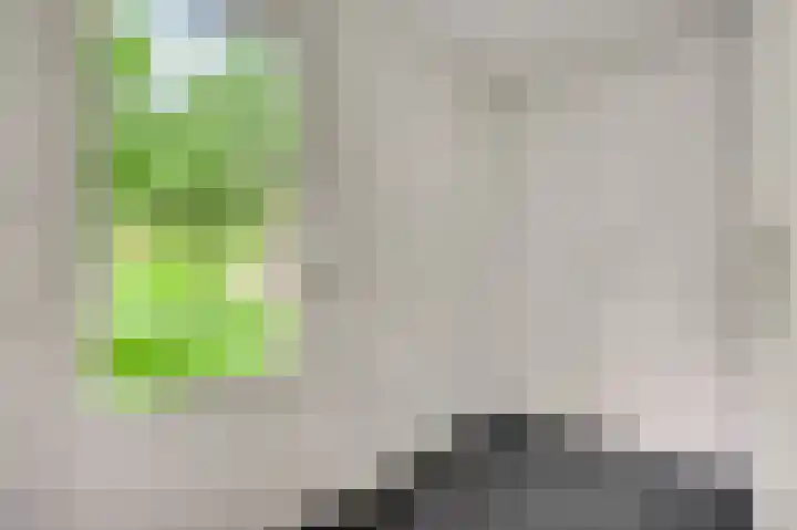 Dijkerhof 21 Weert thumbnail 27