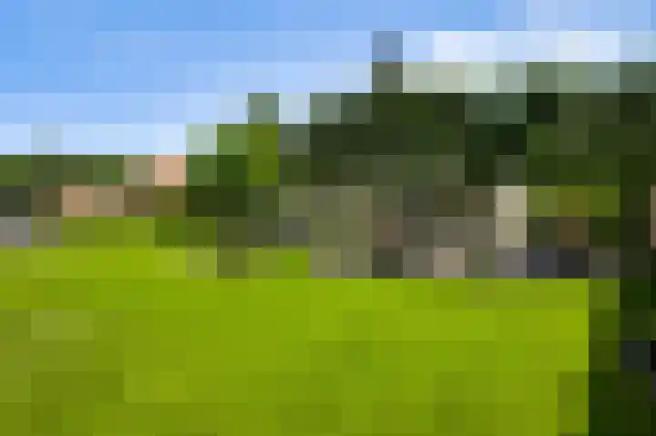 Dijkerhof 21 Weert thumbnail 33