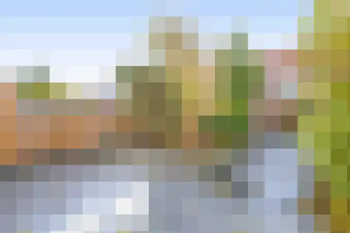 Dijkgraaf 14 Brielle thumbnail 37