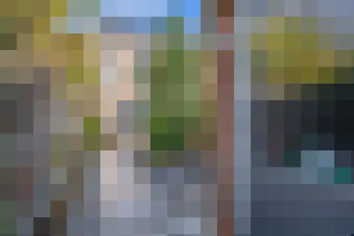Dijkgraaf 14 Brielle thumbnail 40