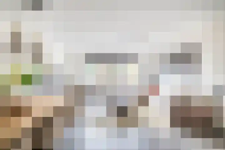 Dijkgraaf 14 Brielle thumbnail 8