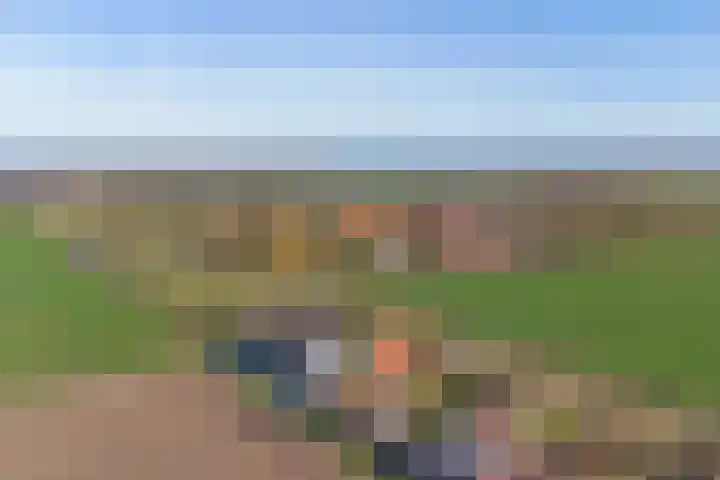 Dijkhuisjes 7 in Zonnemaire