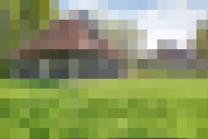 Dijkhuizen 13 Ruinerwold thumbnail 103