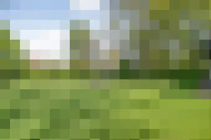 Dijkhuizen 13 Ruinerwold thumbnail 105