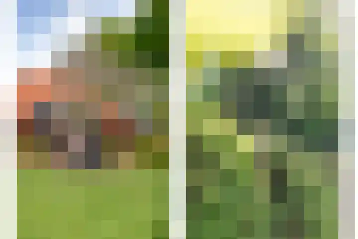 Dijkhuizen 13 Ruinerwold thumbnail 106
