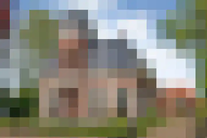 Dijkhuizen 13 Ruinerwold thumbnail 109