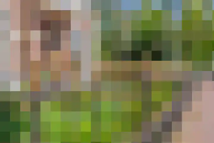 Dijkhuizen 13 Ruinerwold thumbnail 114