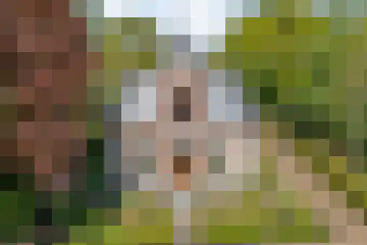 Dijkhuizen 13 Ruinerwold thumbnail 115