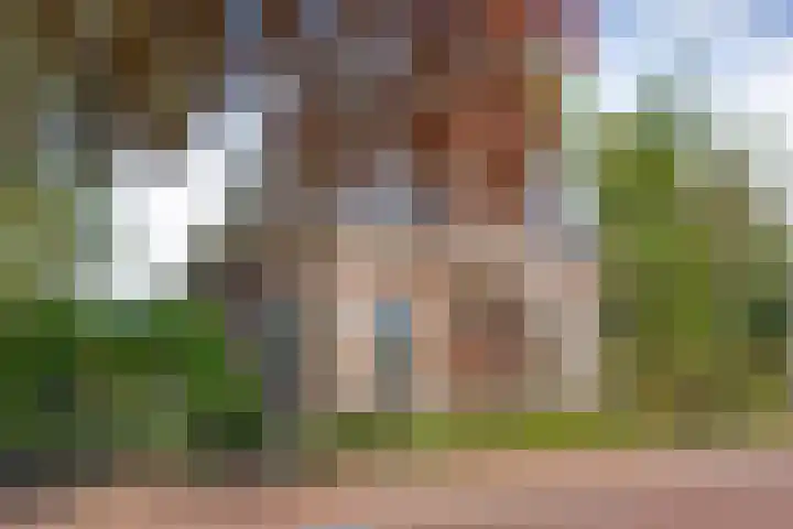 Dijkhuizen 13 Ruinerwold thumbnail 116