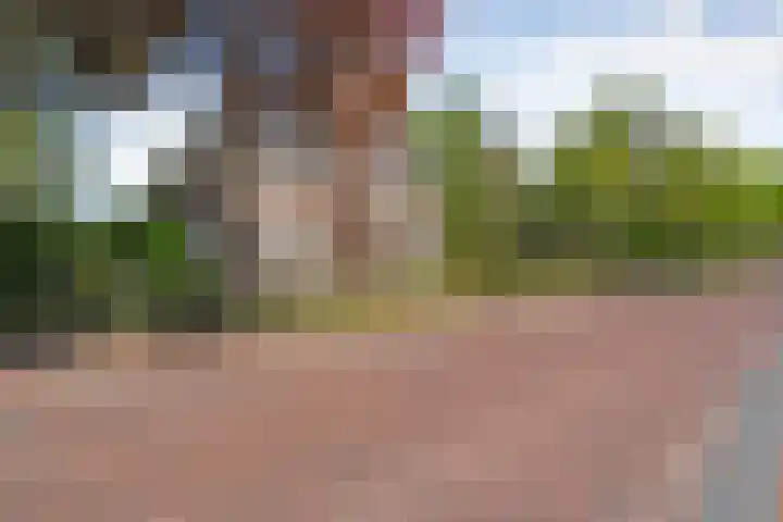 Dijkhuizen 13 Ruinerwold thumbnail 117