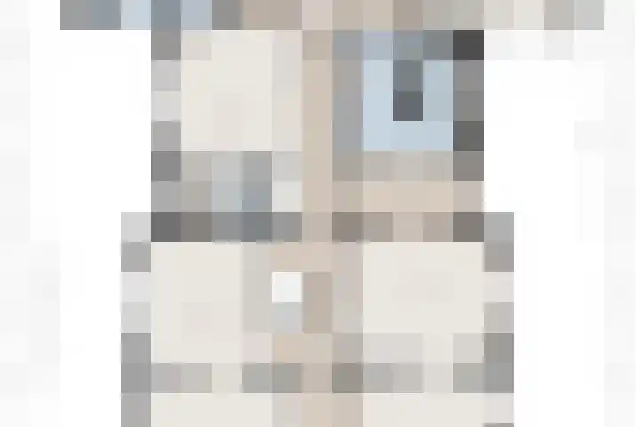 Dijkhuizen 13 Ruinerwold thumbnail 121