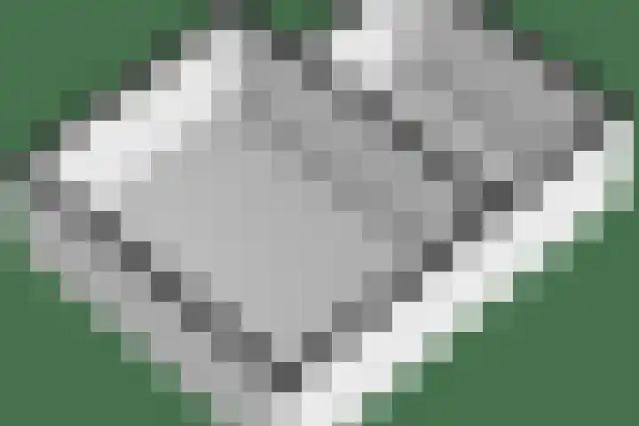 Dijkhuizen 13 Ruinerwold thumbnail 126