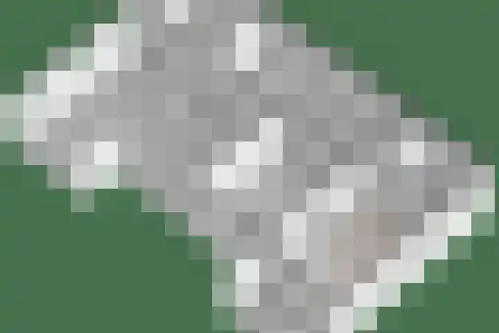 Dijkhuizen 13 Ruinerwold thumbnail 128