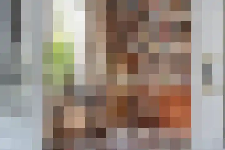 Dijkhuizen 13 Ruinerwold thumbnail 13