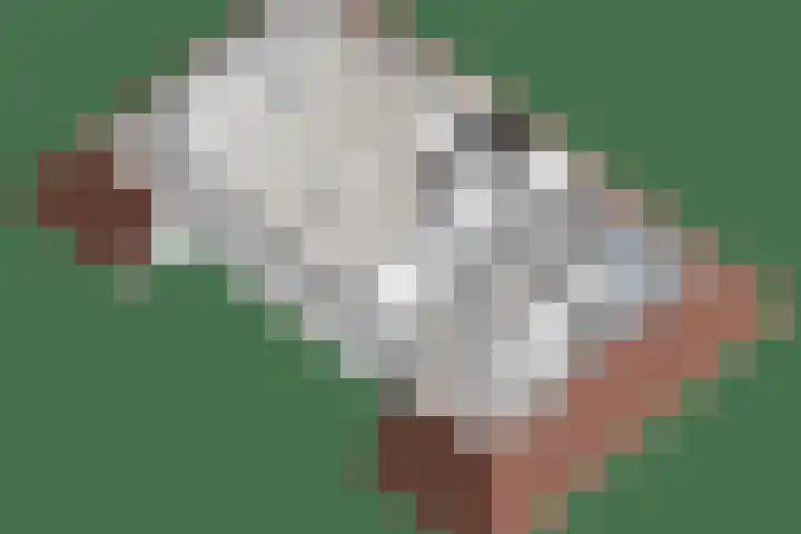 Dijkhuizen 13 Ruinerwold thumbnail 130