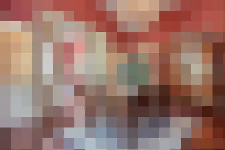 Dijkhuizen 13 Ruinerwold thumbnail 19