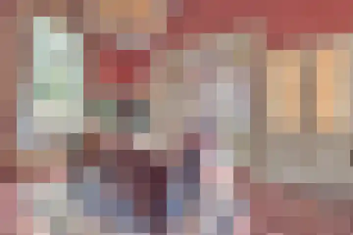 Dijkhuizen 13 Ruinerwold thumbnail 22