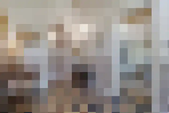 Dijkhuizen 13 Ruinerwold thumbnail 25