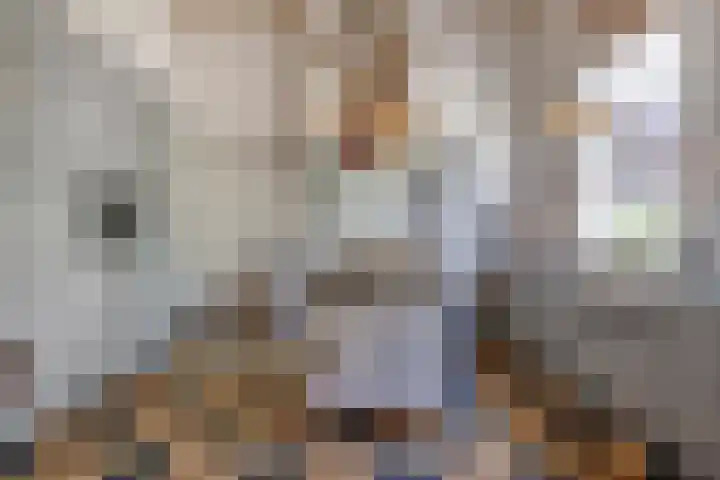 Dijkhuizen 13 Ruinerwold thumbnail 26