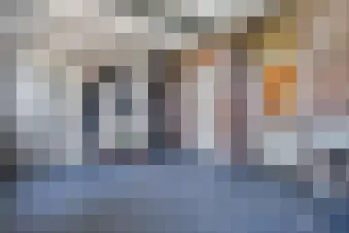 Dijkhuizen 13 Ruinerwold thumbnail 41