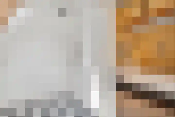 Dijkhuizen 13 Ruinerwold thumbnail 64