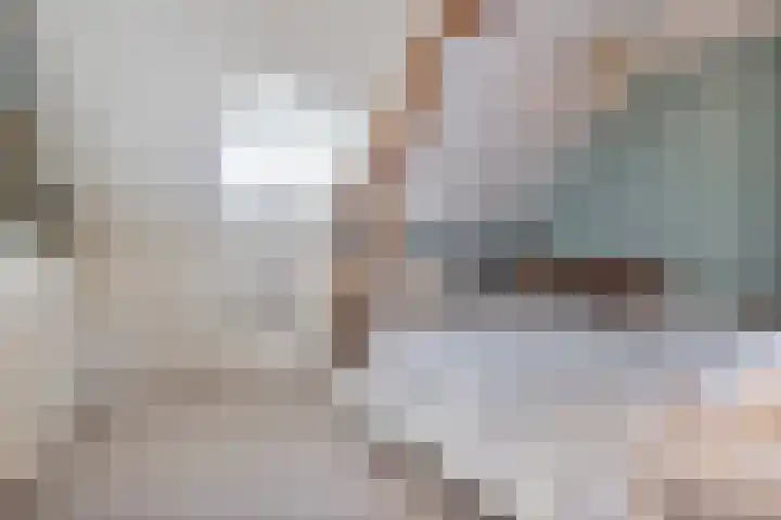 Dijkhuizen 13 Ruinerwold thumbnail 65