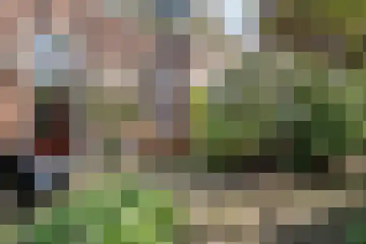 Dijkhuizen 13 Ruinerwold thumbnail 70