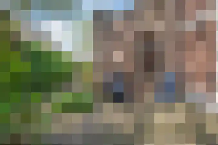 Dijkhuizen 13 Ruinerwold thumbnail 72