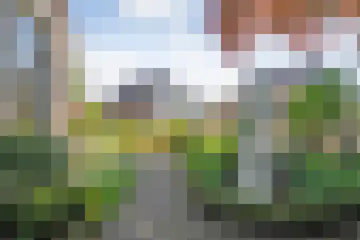 Dijkhuizen 13 Ruinerwold thumbnail 74