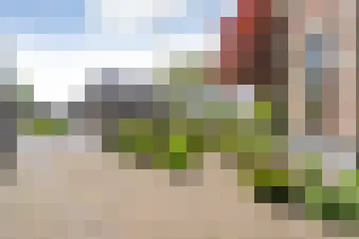 Dijkhuizen 13 Ruinerwold thumbnail 75