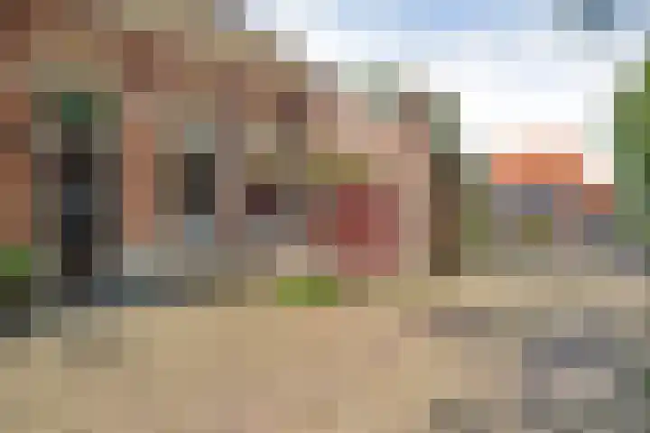 Dijkhuizen 13 Ruinerwold thumbnail 76