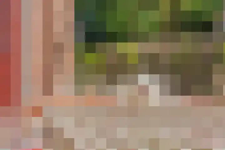 Dijkhuizen 13 Ruinerwold thumbnail 78