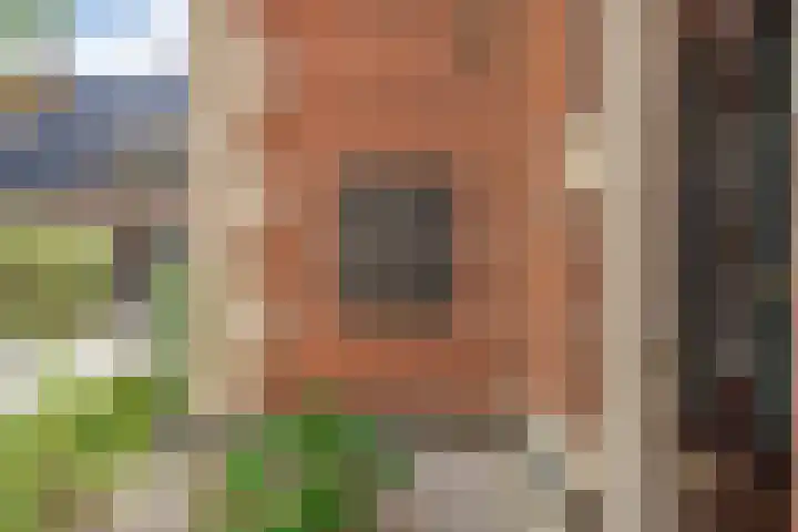 Dijkhuizen 13 Ruinerwold thumbnail 79