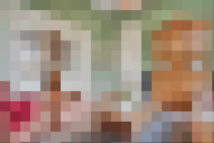 Dijkhuizen 13 Ruinerwold thumbnail 8