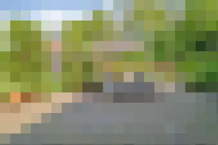 Dijkhuizen 13 Ruinerwold thumbnail 81