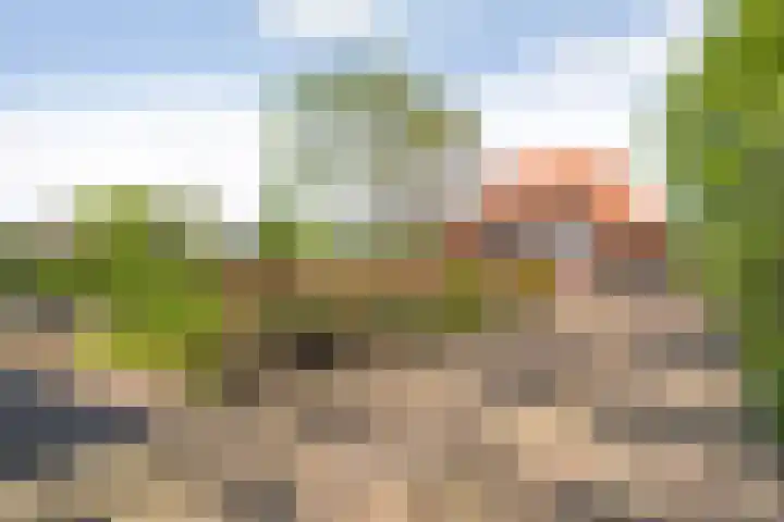 Dijkhuizen 13 Ruinerwold thumbnail 82