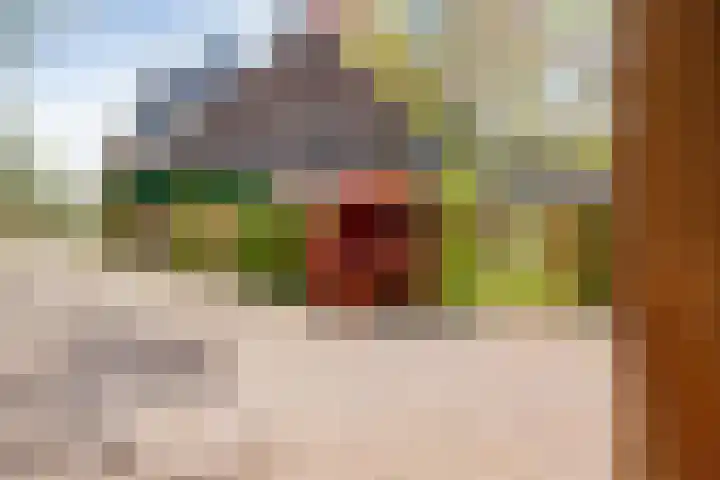 Dijkhuizen 13 Ruinerwold thumbnail 83