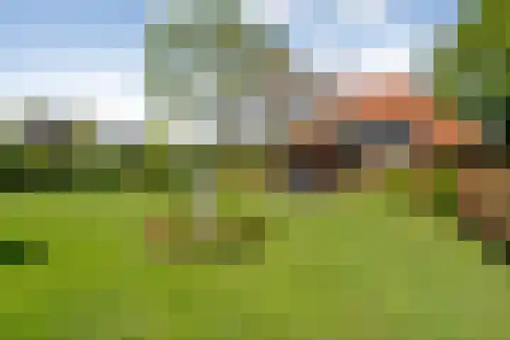 Dijkhuizen 13 Ruinerwold thumbnail 84